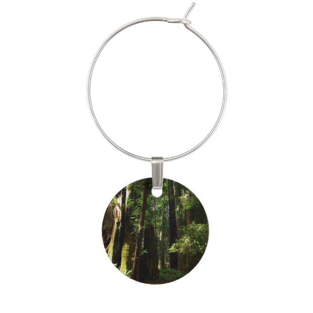 Redwoods and Ferns at Redwood National Park Wine Glass Charm (Front)
