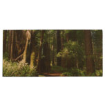 Redwoods and Ferns at Redwood National Park Wood Flash Drive