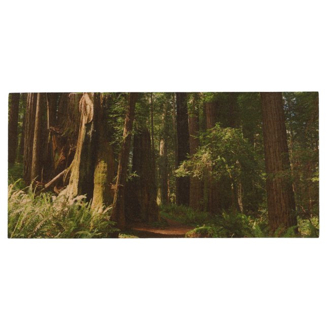 Redwoods and Ferns at Redwood National Park Wood Flash Drive (Back)