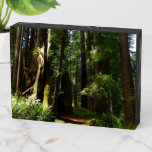 Redwoods and Ferns at Redwood National Park Wooden Box Sign