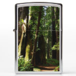 Redwoods and Ferns at Redwood National Park Zippo Lighter