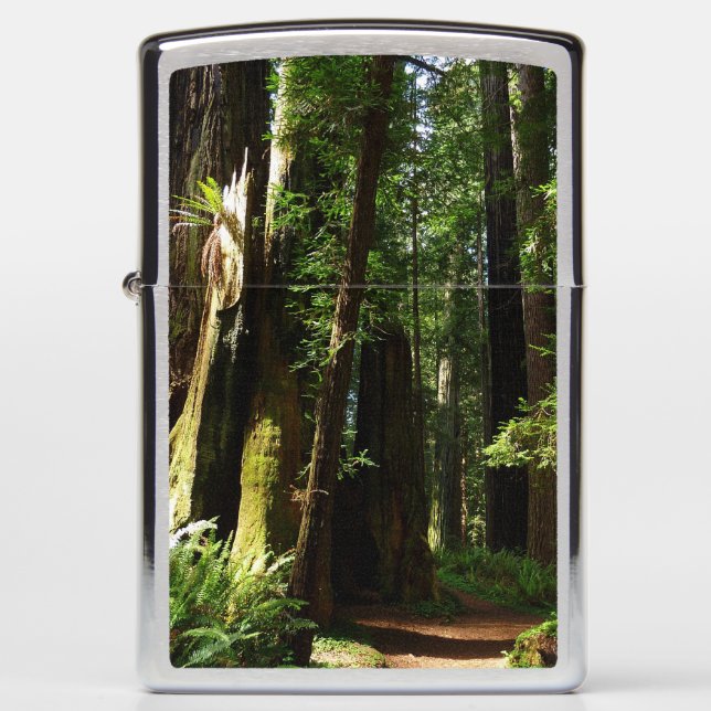 Redwoods and Ferns at Redwood National Park Zippo Lighter (Front)