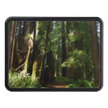 Redwoods and Ferns Hitch Cover