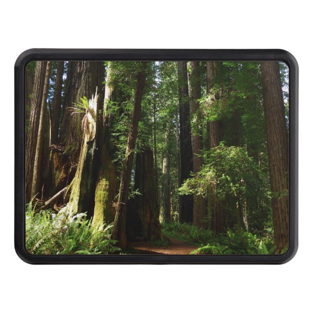 Redwoods and Ferns Hitch Cover (Front)