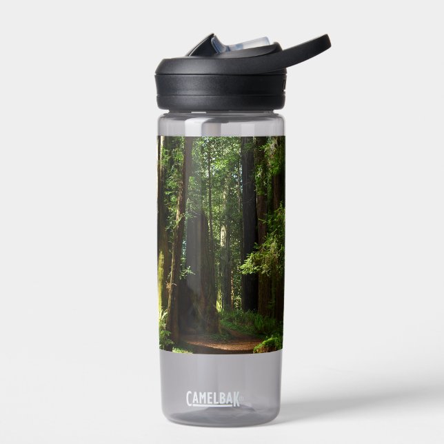 Redwoods and Ferns Water Bottle (Left)