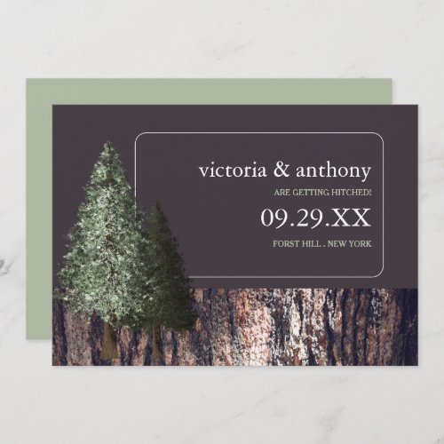 Redwoods  Bark Rustic Wedding Save the Date