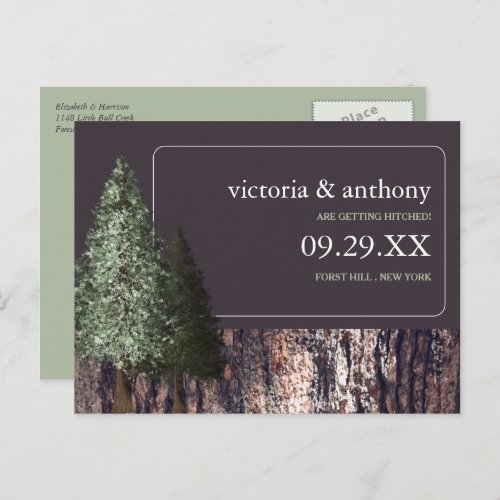Redwoods  Bark Rustic Wedding Save the Date Announcement Postcard