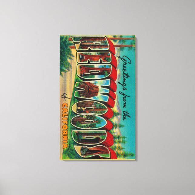 Redwoods, California - Large Letter Scenes Canvas Print (Front)