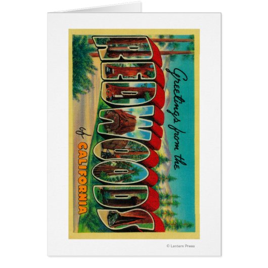 Redwoods, California - Large Letter Scenes Cards (Front)