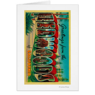 Redwoods, California - Large Letter Scenes Cards