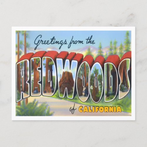 Redwoods California Vintage Big Letters Postcard