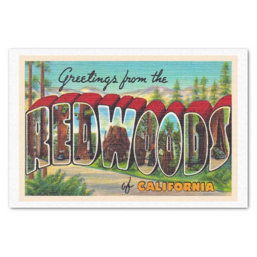 Redwoods California Vintage Large Letter Postcard Tissue Paper