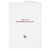 Redwoods Card (Back)