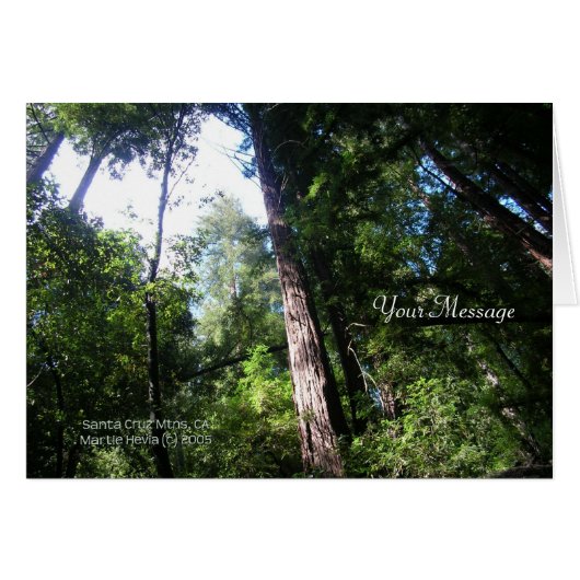 Redwoods Cards (Front Horizontal)