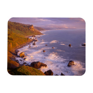 Redwoods coastline, California Magnet
