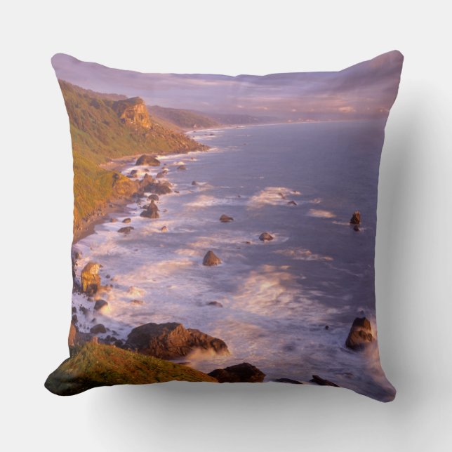 Redwoods coastline, California Throw Pillow (Front)