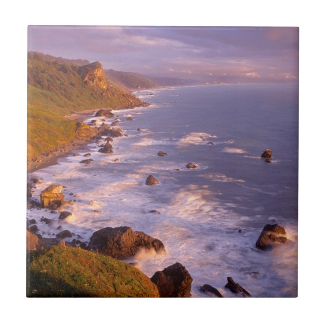 Redwoods coastline, California Tile (Front)