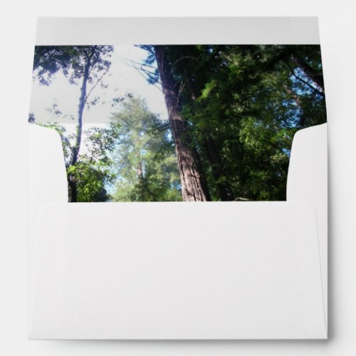 Redwoods Envelope