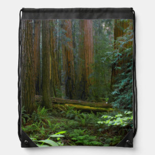 Redwoods In Muir Woods National Park Drawstring Bag
