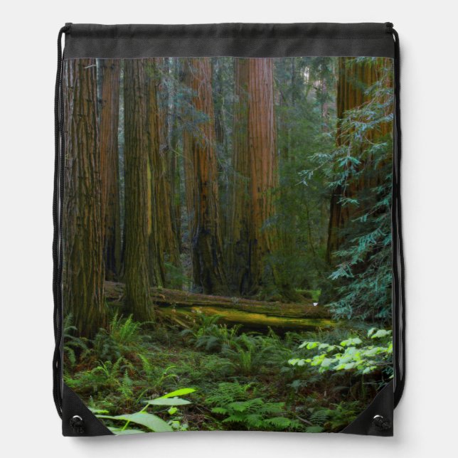 Redwoods In Muir Woods National Park Drawstring Bag (Front)
