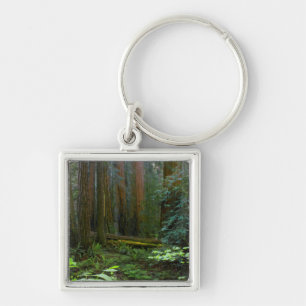 Redwoods In Muir Woods National Park Keychain