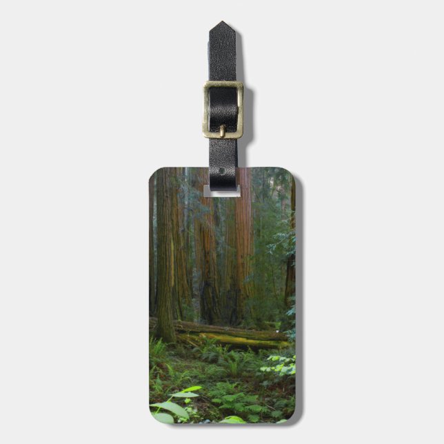 Redwoods In Muir Woods National Park Luggage Tag (Front Vertical)