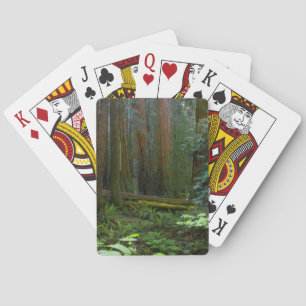 Redwoods In Muir Woods National Park Poker Cards