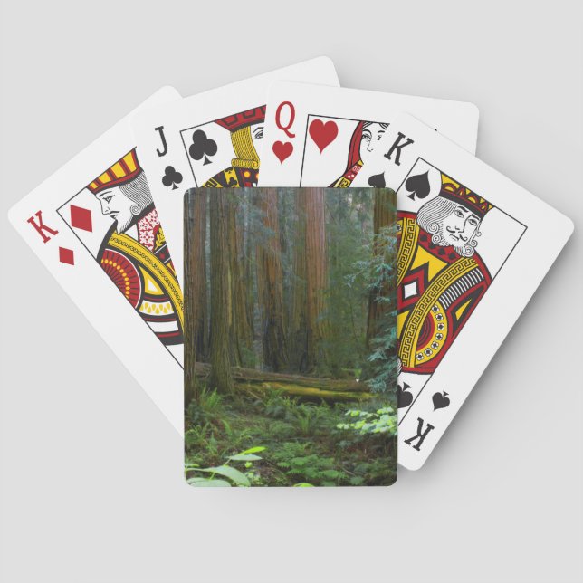 Redwoods In Muir Woods National Park Poker Cards (Back)