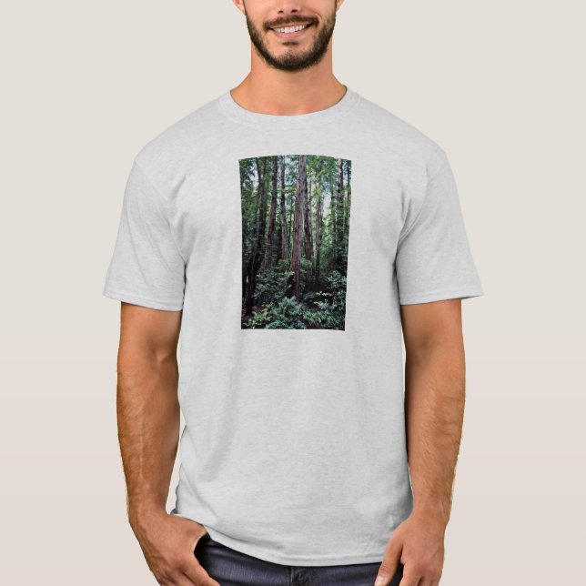 Redwoods - Muir Woods National Monument T-Shirt (Front)