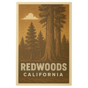 Redwoods National Park California Metal Wall Art