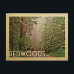 Redwoods National Park California Vintage Travel Postcard<br><div class="desc">Redwoods California design in Vintage Travel style featuring beautiful California redwood trees of the Redwoods National Forest on a lone road.</div>
