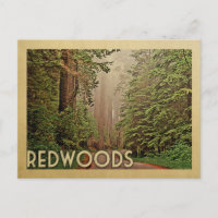 Redwoods National Park California Vintage Travel