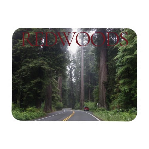 Redwoods National Park Magnet