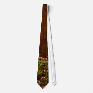 Redwoods National Park Tie