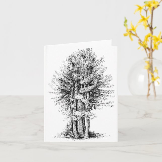 Redwoods Notecard (Yellow Flower)