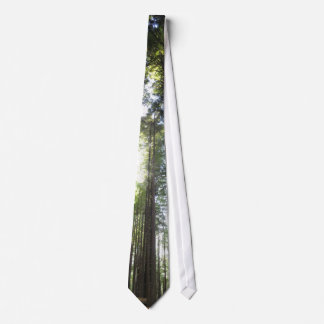 Redwoods Tie