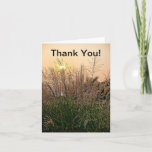 Reed At Sunset Thank You Card