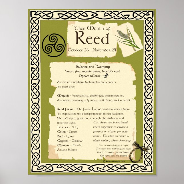 REED CELTIC SACRED TREE POSTER (Front)