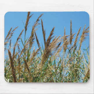 Reed grass on a lake mouse pad