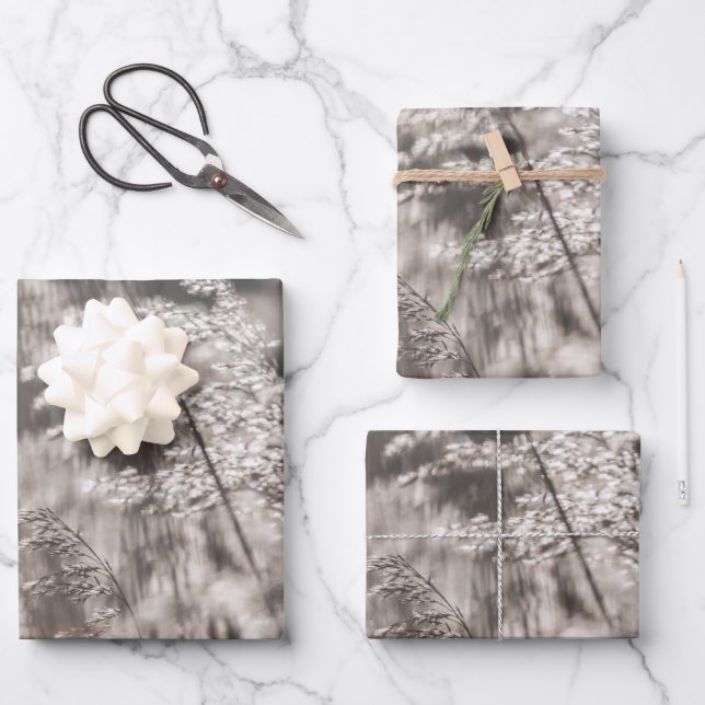 Reed Nature Photo Wrapping Paper Sheets (Front)
