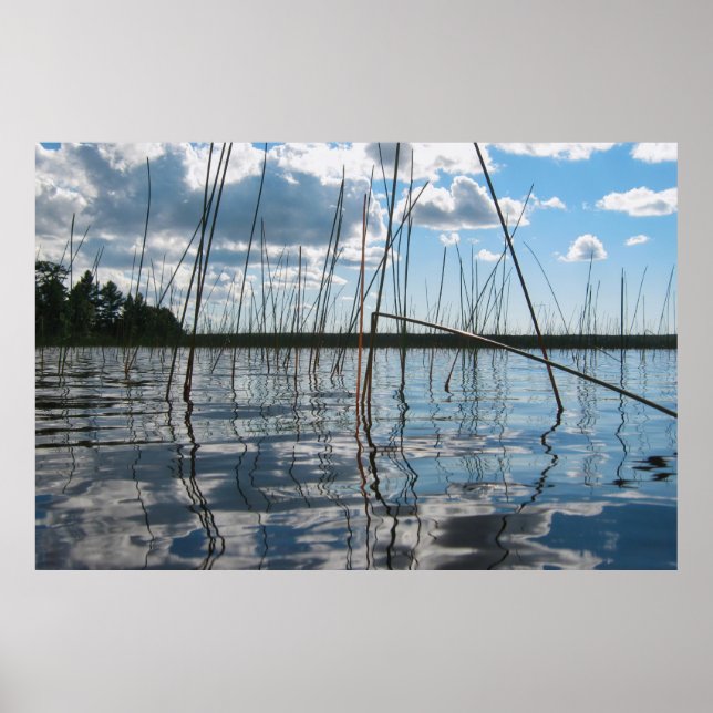 Reeds and Reflections on Rice Lake Poster (Front)