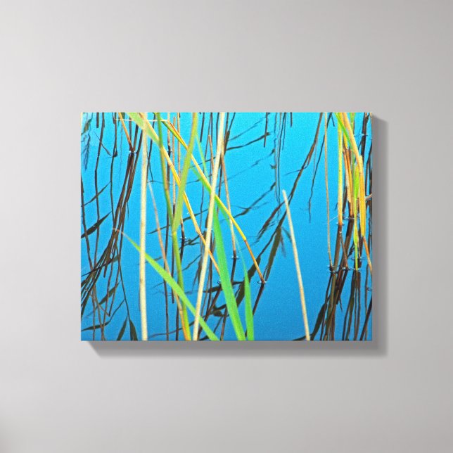Reeds in a lake canvas print (Front)