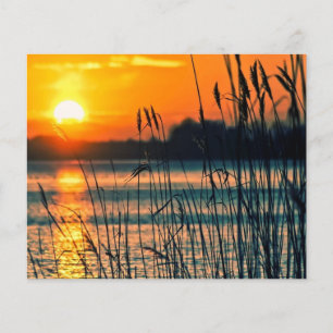 Reeds in sunset scrapbook background
