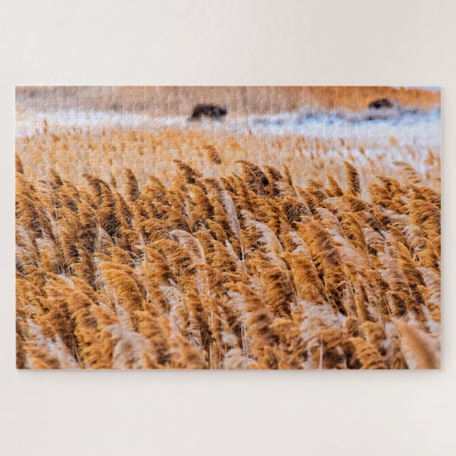 Reeds of Antelope Island, Utah - 20x30 - 1014 pcs. Jigsaw Puzzle (Horizontal)