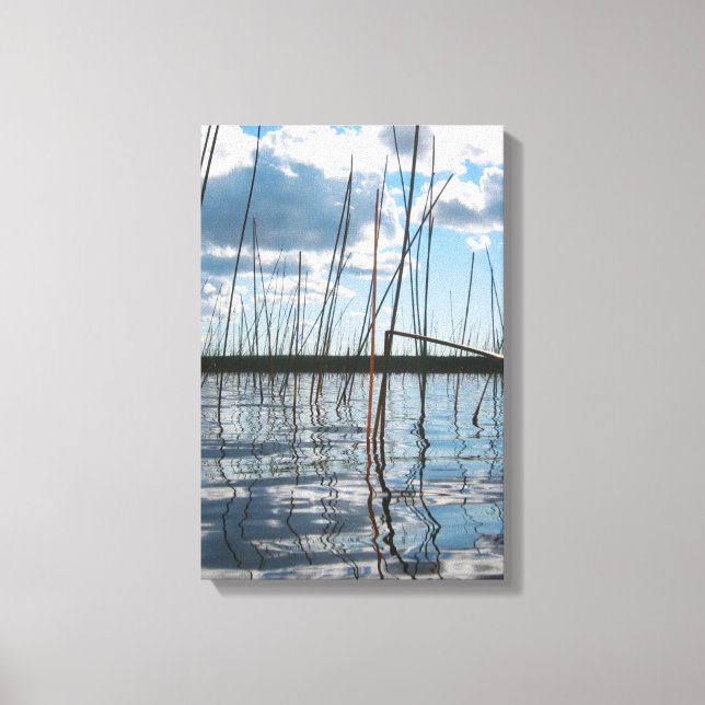 Reeds on Rice Lake – Upper Peninsula Canvas Print (Front)