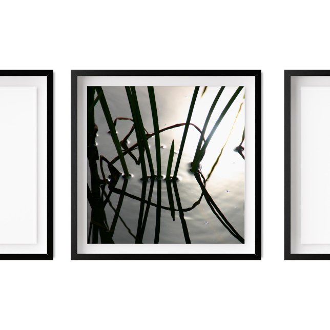 Reeds Reflection Zen Photography Poster (Creator Uploaded)