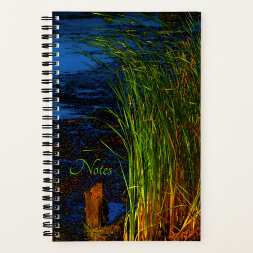 Reeds  Rushes â Notebook 