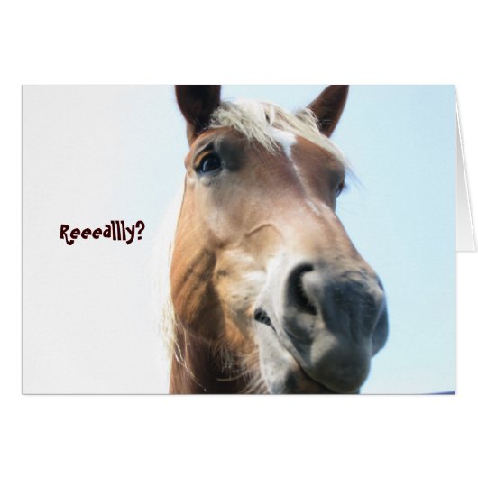 Reeeallly? (Front Horizontal)