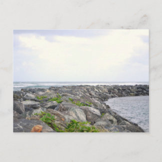 Reef_Dorado PR Postcard