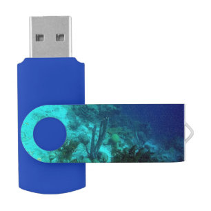 Reef Edge Flash Drive